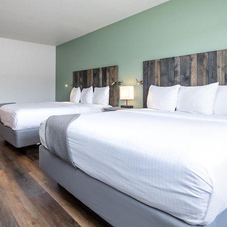 Mtn Lodge Ridgway Bagian luar foto